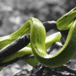 Komu nie pasuje kreska na powiece?