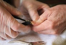 Jak obciąć zgrubiałe paznokcie? Jak obciąć zgrubiałe paznokcie?