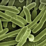 Jak pozbyć się bakterii beztlenowych z ust?