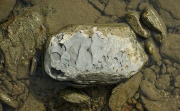 Co ile zmieniać szungit?