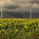 W jakiej kolejności nakładać kosmetyki do makijażu?