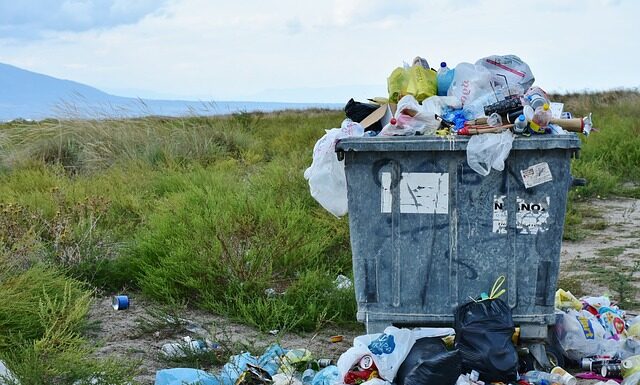 Jaki frez do usuwania hybrydy? Jaki frez do usuwania hybrydy?