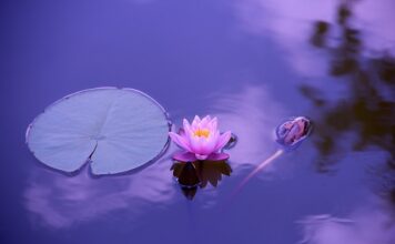 Jak wzmocnić stawy i ścięgna? Jak wzmocnić stawy i ścięgna?