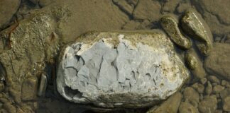 Gdzie można kupić oryginalny szungit?