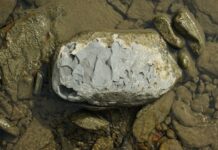 Jak stosować szungit do wody? Jak stosować szungit do wody?