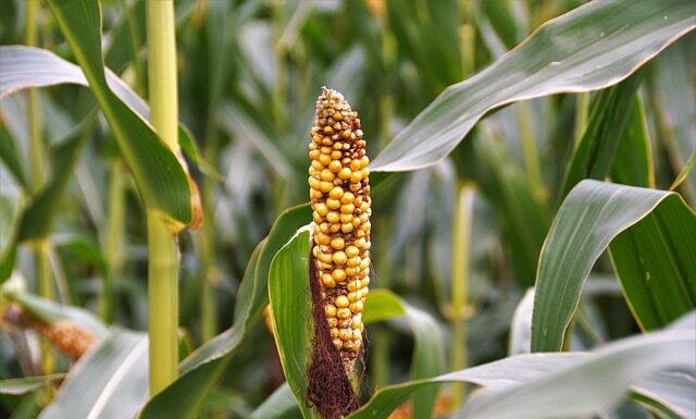 Po czym poznać że ma się zwyrodnienie stawów? Po czym poznać że ma się zwyrodnienie stawów?