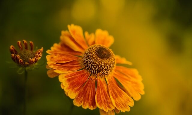 Dlaczego jak kicham to śmierdzi? Dlaczego jak kicham to śmierdzi?