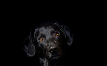 Co jest trwalsze hybryda czy żel? Co jest trwalsze hybryda czy żel?